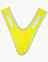 Signal Yellow